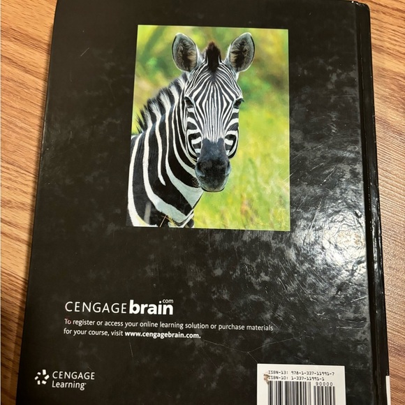 Understandable Statistics Concepts and methods 12 E Brase - Picture 4 of 5